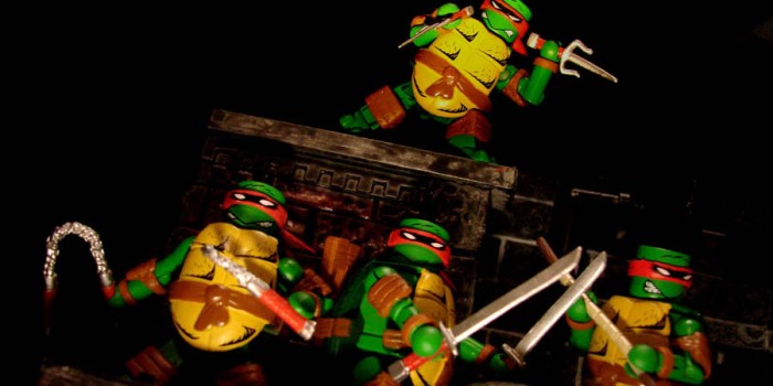 On Sale This Week: NBX and TMNT! TMNTMirage1b