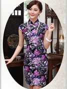 Chinese Style "Zi Mei" Women Dress